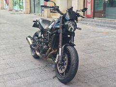 Benelli Lion Cub Leoncino 500 - фото 1