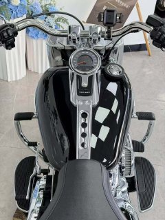 Harley-Davidson Fat Boy 1923 cc - ფოტო 6
