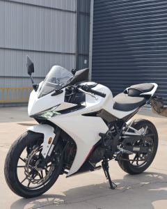 Kayo 250RR Thornbird - ფოტო 1