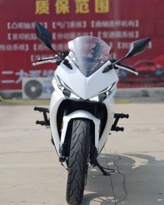 Kayo 250RR Thornbird - ფოტო 2
