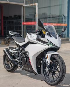 Kayo 250RR Thornbird - ფოტო 3