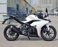 Kayo 250RR Thornbird - ფოტო 4