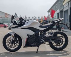 Kayo 250RR Thornbird - ფოტო 6