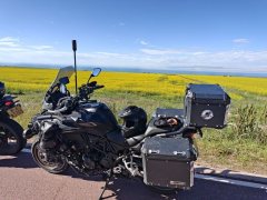 Benelli TRK552 550 cc - ფოტო 4