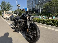 Benda Polestones 03 Gray 300 cc - ფოტო 9