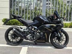 Kayo 250RR Thornbird - ფოტო 1