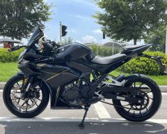 Kayo 250RR Thornbird - ფოტო 2