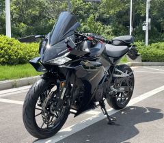 Kayo 250RR Thornbird - ფოტო 5