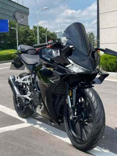 Kayo 250RR Thornbird - ფოტო 3