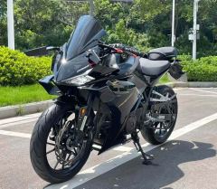 Kayo 250RR Thornbird - ფოტო 4