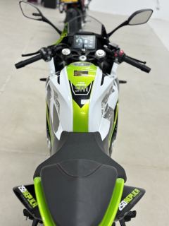 QJMOTOR SRK 250 - photo 6