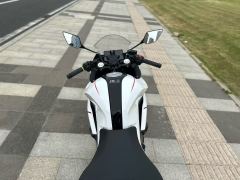 Kayo 250RR Thornbird - ფოტო 1