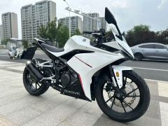 Kayo 250RR Thornbird - ფოტო 2