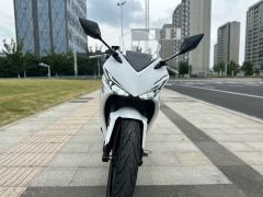 Kayo 250RR Thornbird - ფოტო 3