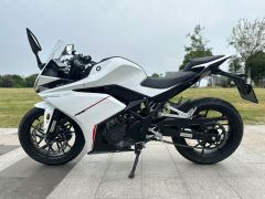 Kayo 250RR Thornbird - ფოტო 5