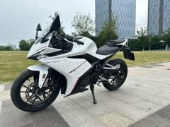 Kayo 250RR Thornbird - ფოტო 6