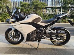Kayo 250RR Thornbird - ფოტო 1