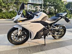 Kayo 250RR Thornbird - ფოტო 2
