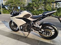Kayo 250RR Thornbird - ფოტო 3