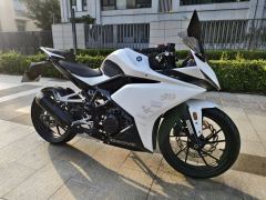 Kayo 250RR Thornbird - ფოტო 5