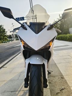 Kayo 250RR Thornbird - ფოტო 8