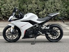 Kayo 250RR Thornbird - ფოტო 1