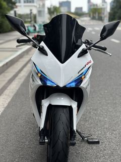 Kayo 250RR Thornbird - ფოტო 3