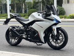 Kayo 250RR Thornbird - ფოტო 4