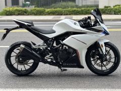 Kayo 250RR Thornbird - ფოტო 5