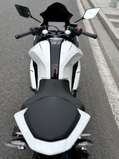 Kayo 250RR Thornbird - ფოტო 6