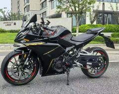 Kayo 250RR Thornbird - ფოტო 2