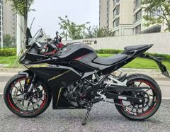 Kayo 250RR Thornbird - ფოტო 3