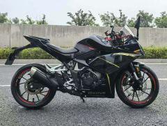 Kayo 250RR Thornbird - ფოტო 4