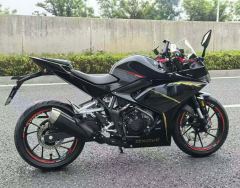 Kayo 250RR Thornbird - ფოტო 5