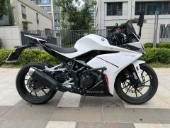 Kayo 250RR Thornbird - ფოტო 6