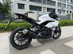 Kayo 250RR Thornbird - ფოტო 8