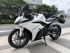 Kayo 250RR Thornbird - ფოტო 3