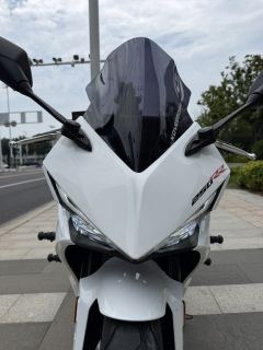 Kayo 250RR Thornbird - ფოტო 4