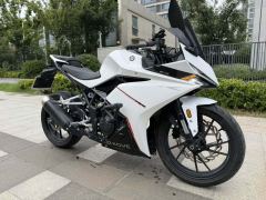 Kayo 250RR Thornbird - ფოტო 5