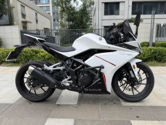 Kayo 250RR Thornbird - ფოტო 6