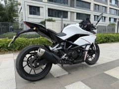 Kayo 250RR Thornbird - ფოტო 8