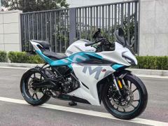 CFMOTO 250SR - ფოტო 2