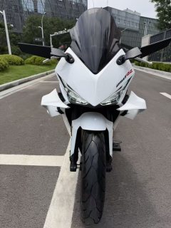Kayo 250RR Thornbird - фото 3