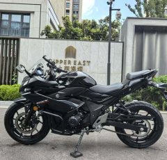 Haojue Suzuki GSX250R - photo 1