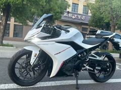 Kayo 250RR Thornbird - ფოტო 10