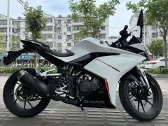 Kayo 250RR Thornbird - ფოტო 2