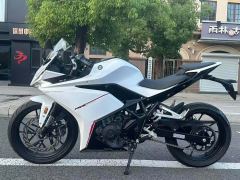 Kayo 250RR Thornbird - ფოტო 6