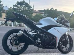 Kayo 250RR Thornbird - ფოტო 7