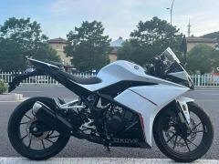 Kayo 250RR Thornbird - ფოტო 8