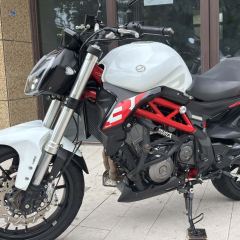 Benelli TNT 300 / BN 302S - ფოტო 7